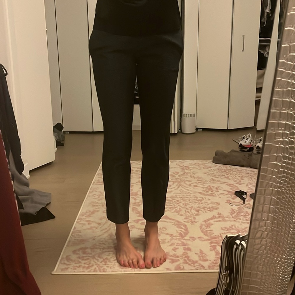Ann Taylor ankle pants